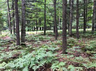 6787 Beechnut Ct, Stanwood, MI 49346