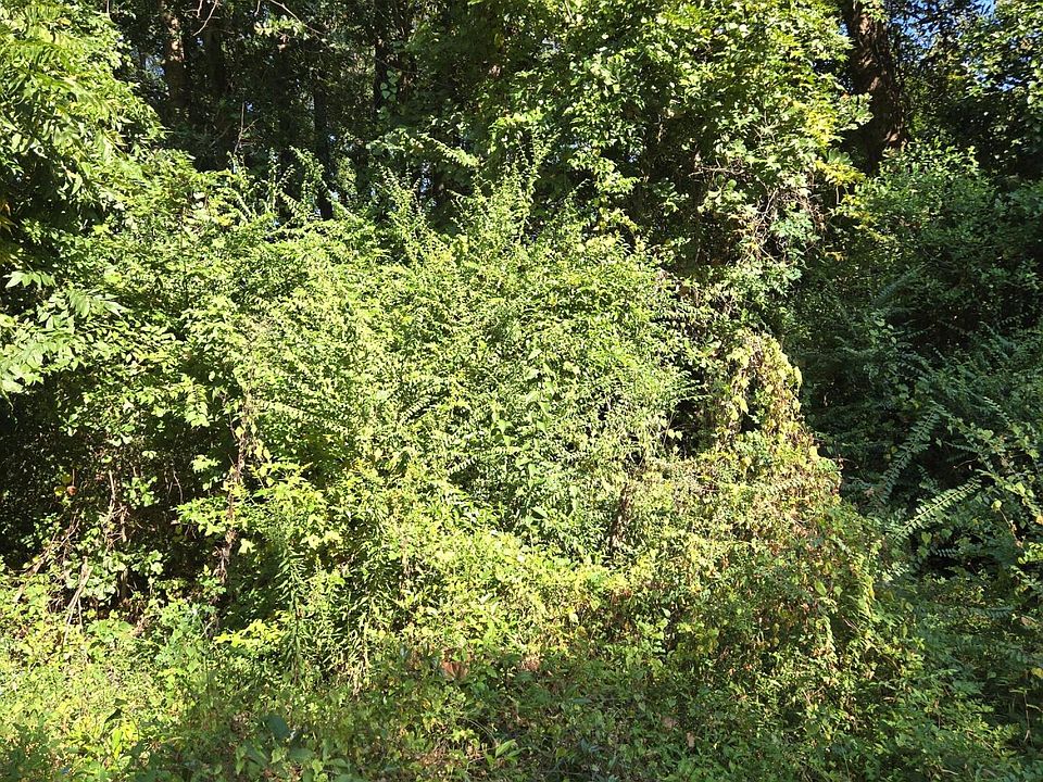 2nd image of 0 Anna St
