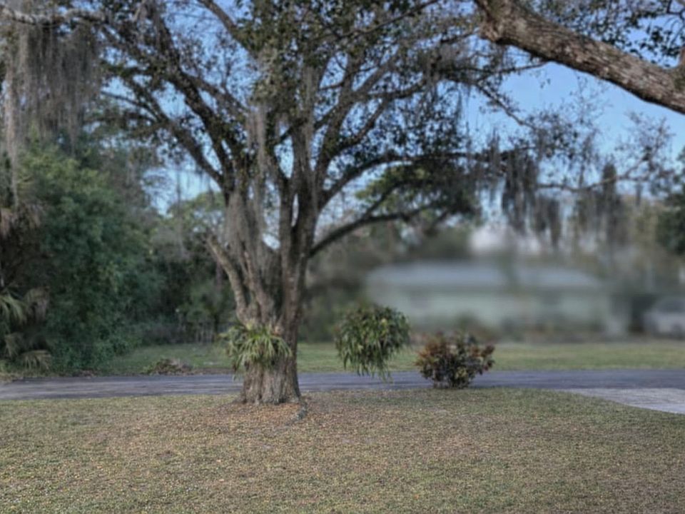 1st image of (Undisclosed Address)