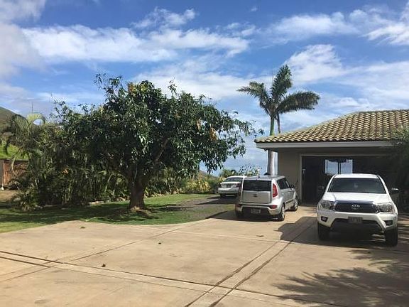 PARKING AND MANGO TREE