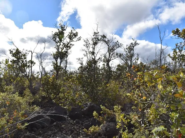 Catamaran Ln Lot 20, Ocean View, HI 96737