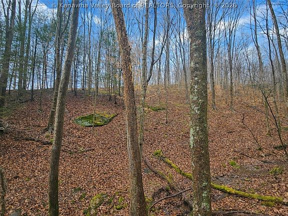 3rd image of 709 Cicerone Rd