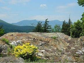 View from Rock Garden
