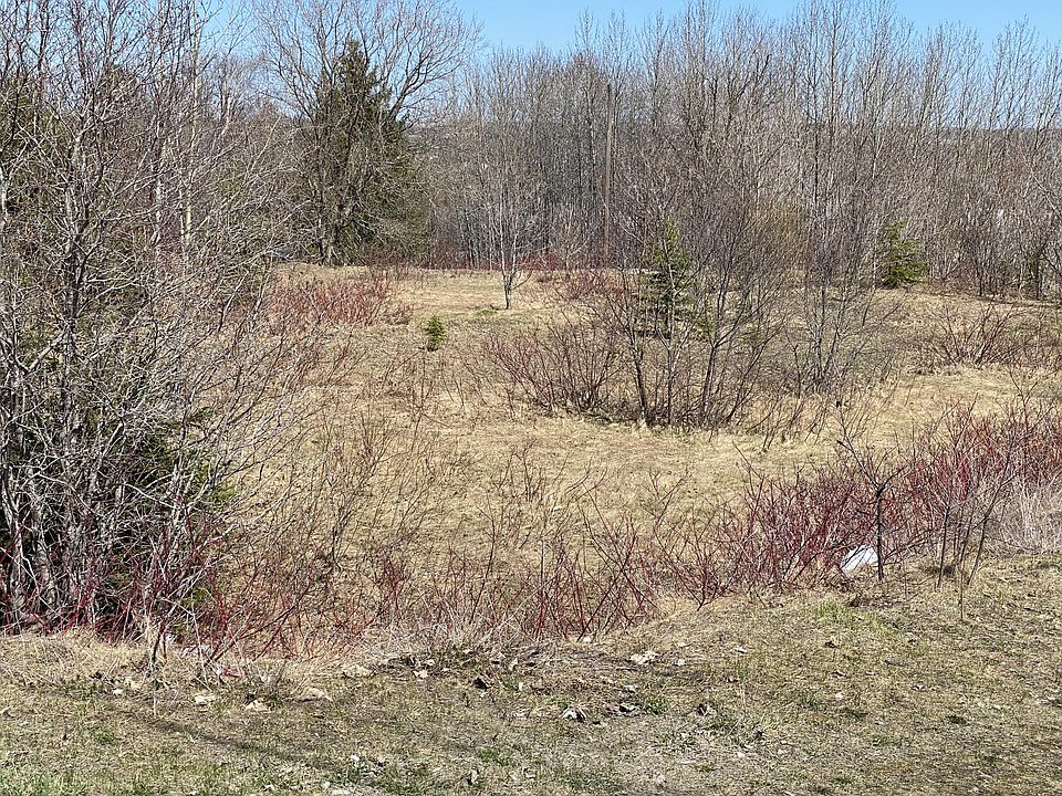 2nd image of 9 Jacobs Ave