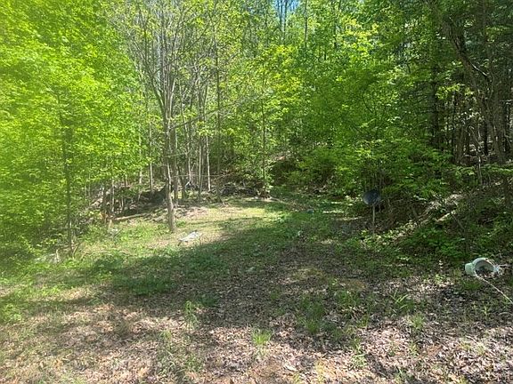 3rd image of 557 Shelton Rd