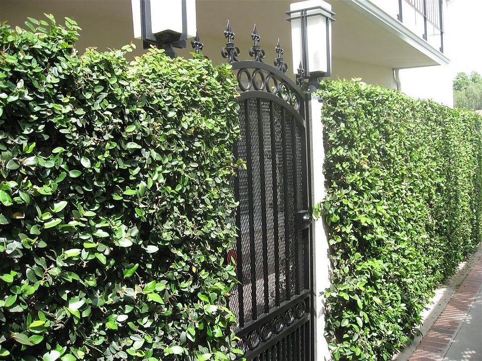 1st image of 5121 Ledge Ave
