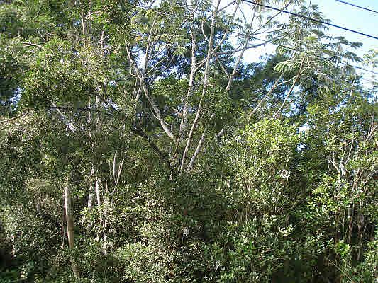 1st image of 18th Ave Lot 320