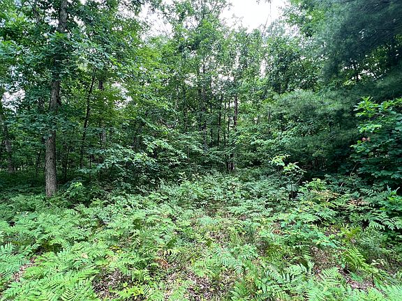 2nd image of V/l S Woodland Dr