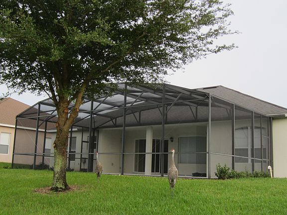 Rear view of the house