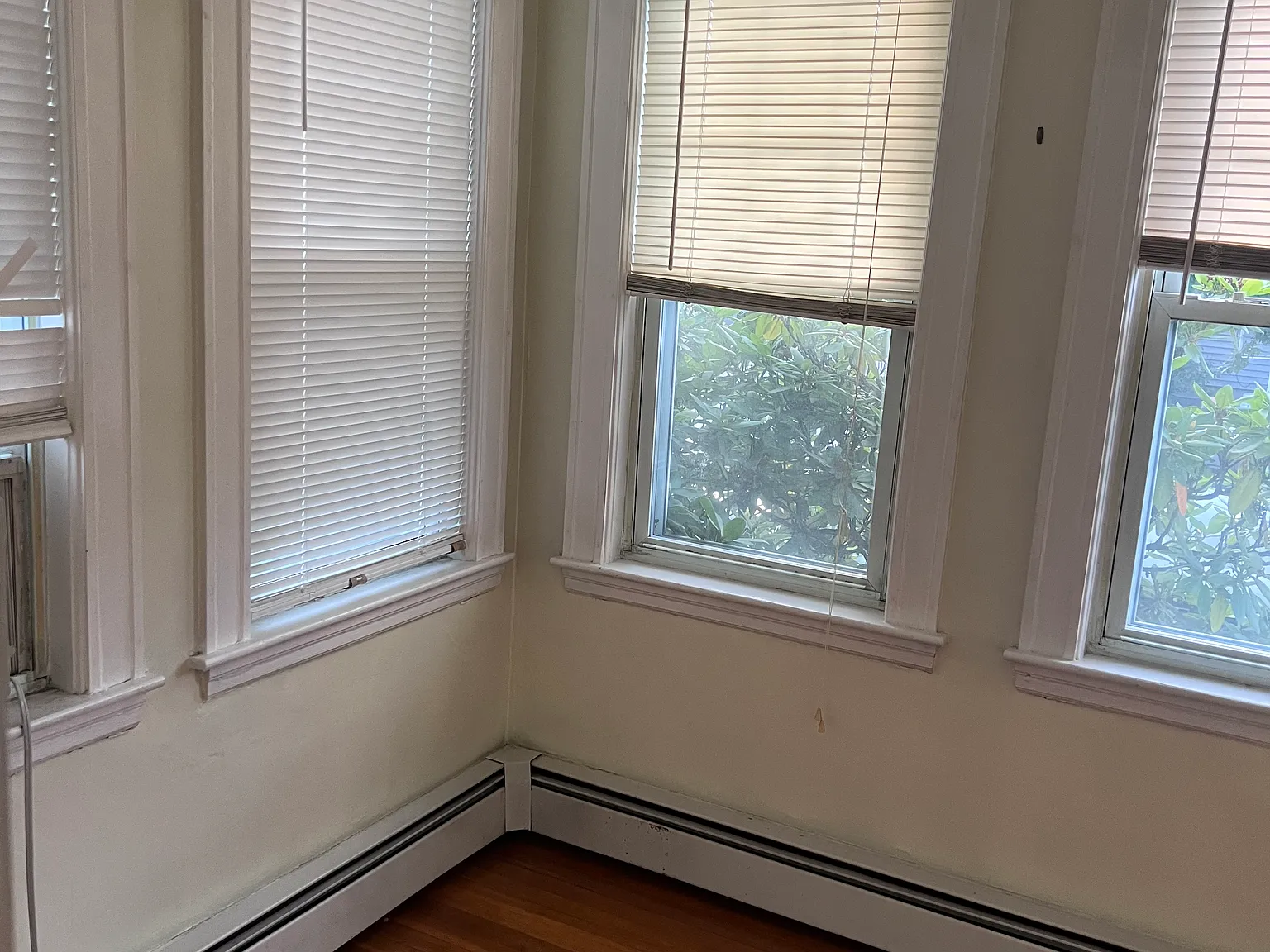 1 bed, $1,700 — Photo 4