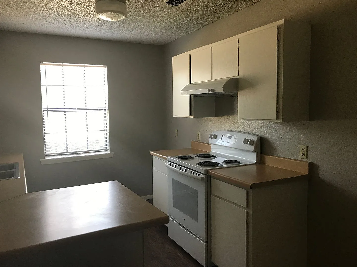 3/2 Fenced yard and Pet Friendly PTISD — Photo 4