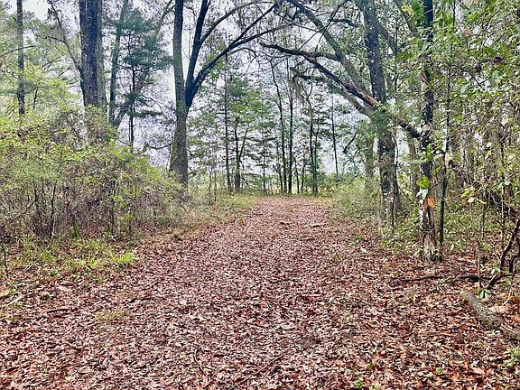 4th image of 0 NW County Road 235