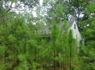 395 Firetower Rd, Irmo, SC 29063