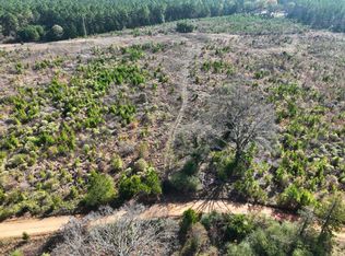 County Road 4231, Atlanta, TX 75551