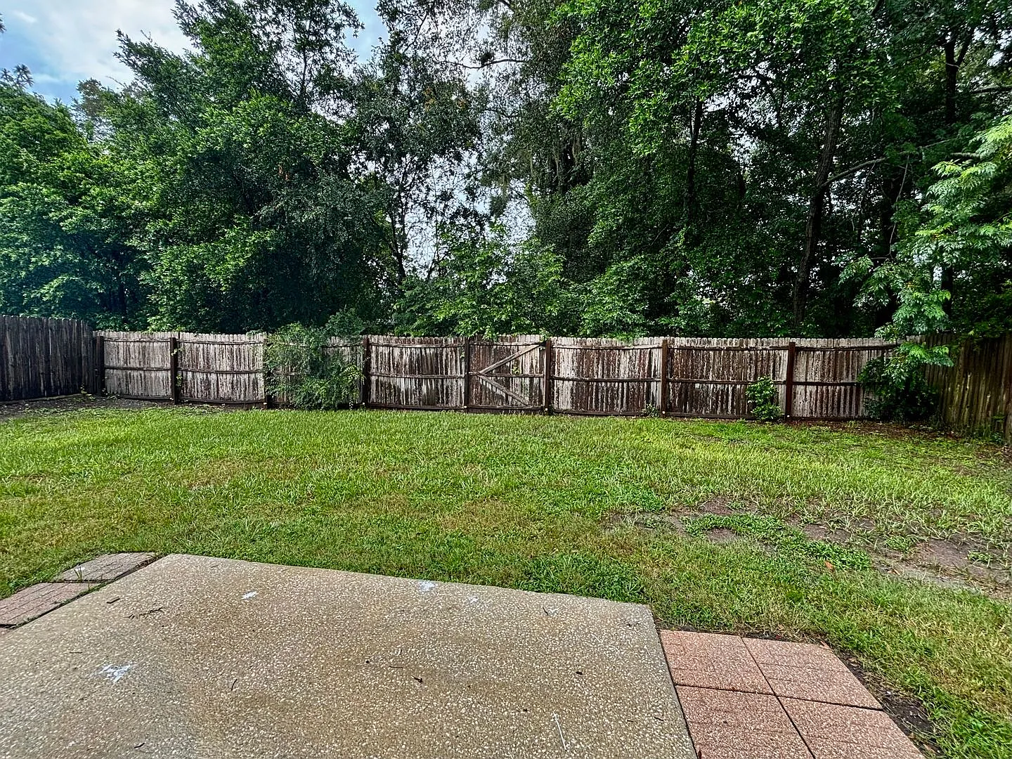 Awesome 3/2 Located in the South Orange Park & won't last long! — Photo 3
