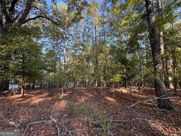 0 Piedmont Lake Rd, Pine Mountain, GA 31822
