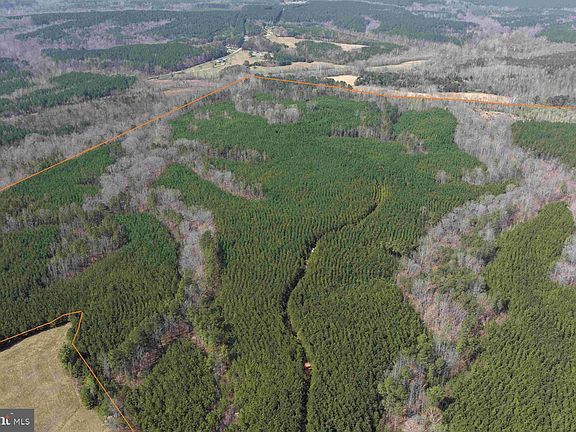 5th image of Water Oak Road Wingfield Tract C119