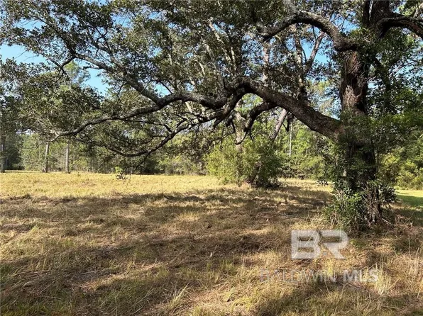 0 Ezell Rd, Grand Bay, AL 36541