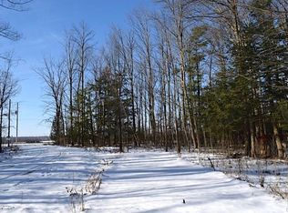 20 Halsey Rd, Mexico, NY 13114