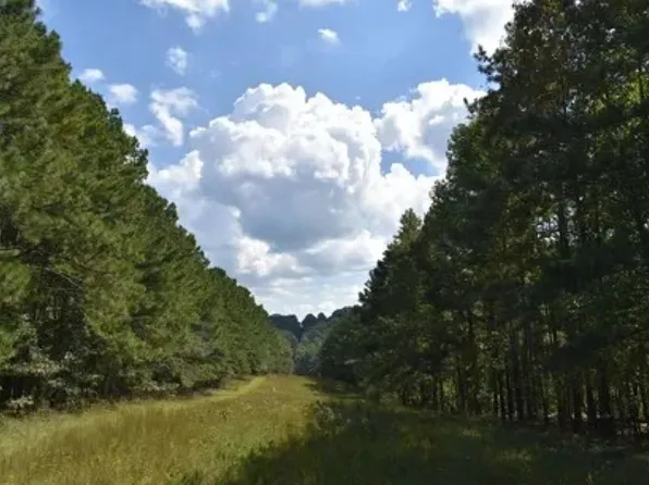 6534 Mountain Ridge Rd, Trussville, AL 35173