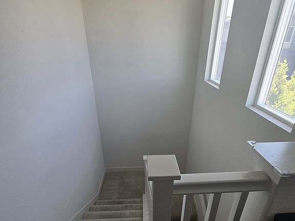 2nd image of 1919 Cadence Ln