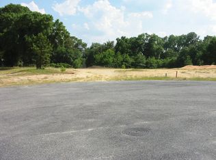 323 Bethune Downs Ct, Macon, GA 31211