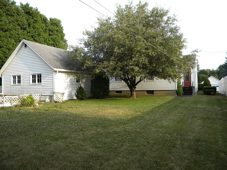 Backyard Shot