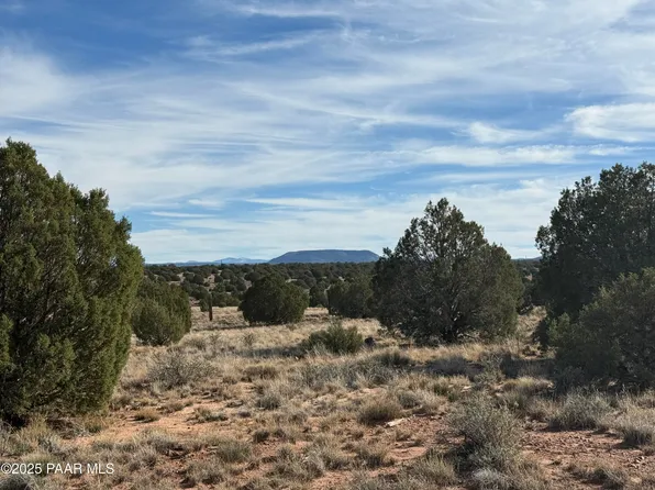 4 Ranch Of The White Mountains, Concho, AZ 85924