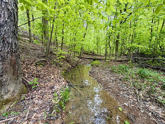 2nd image of 100A Open Fork Rd