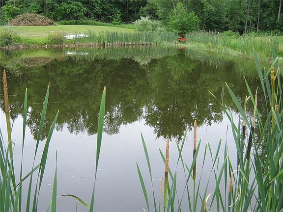 5th image of 5766 Pine Valley Dr