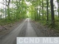 73 Stone House Road, Canaan, NY, 12029