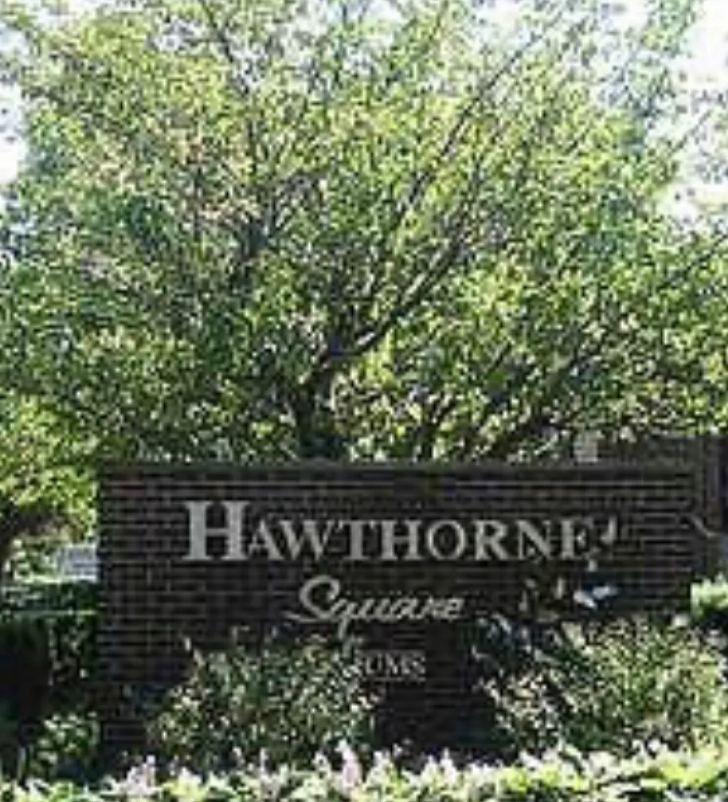 2 bed, 935 sqft, $1,450 — Photo 1