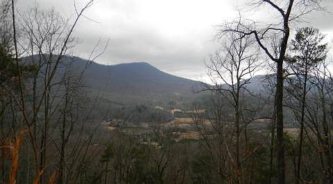 1st image of Bald Eagle Dr #19