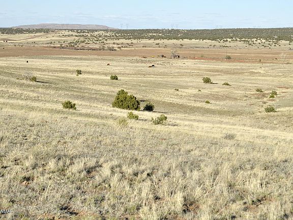 5th image of LOT 142 County Road 5500