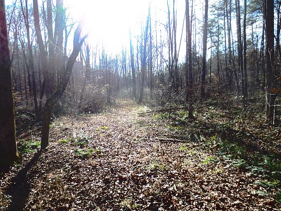 4th image of 0 County Road 181 Lot 6 & 7