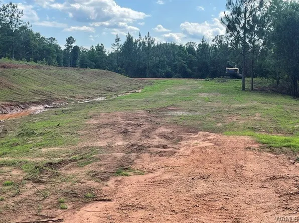 8 Longleaf, Tuscaloosa, AL 35406