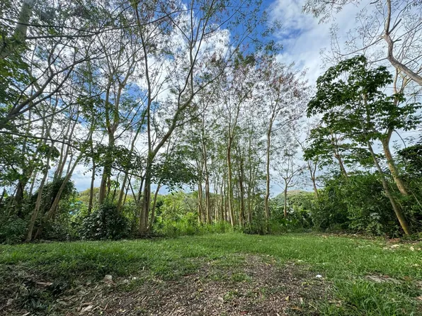 State Highway 402 Km #4.7, Anasco, PR 00610