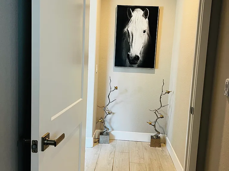 Radiance Ln — Photo 42