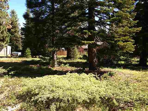 5th image of 3613 Evergreen Cir