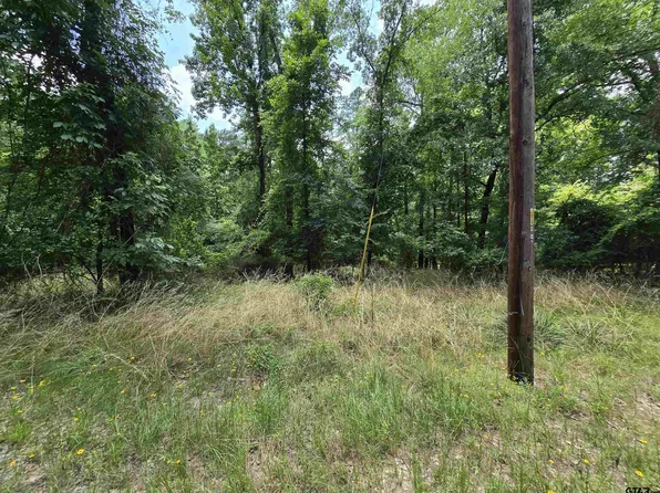 Blackjack Dr, Frankston, TX 75763
