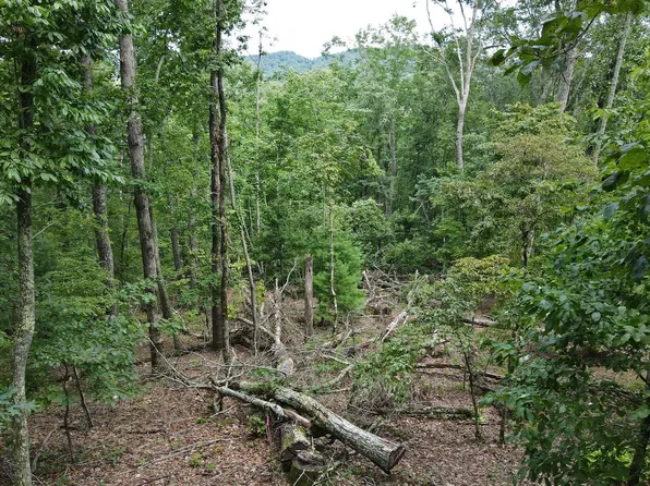 LOT 1 Birchwood Dr, Morganton, GA 30560