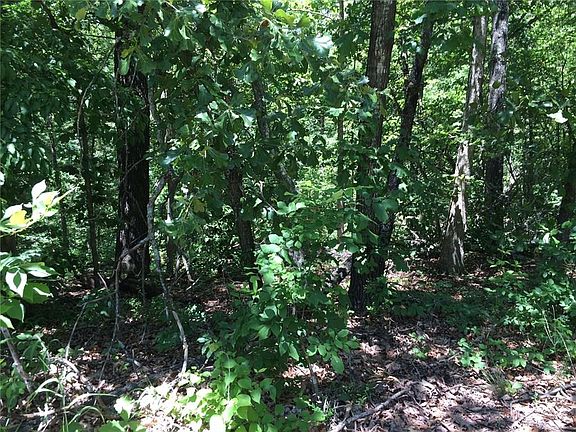 2nd image of Hornsea Ln