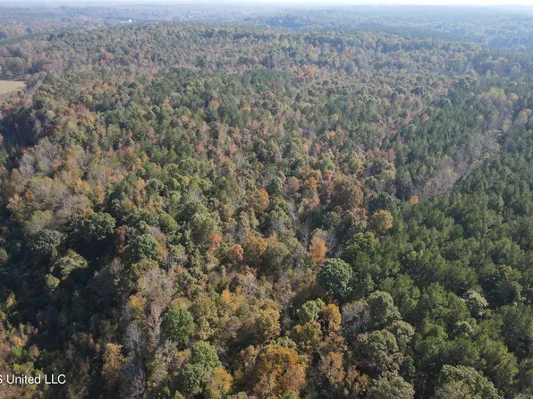 County Road 2, Myrtle, MS 38650