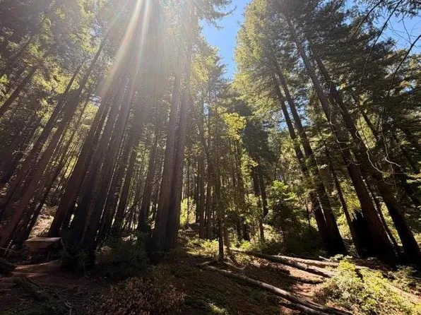 11837 Clear Creek Rd, Brookdale, CA 95007