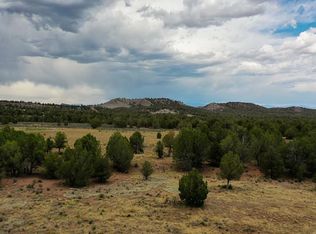 16 High Flume Dr, Durango, CO 81303