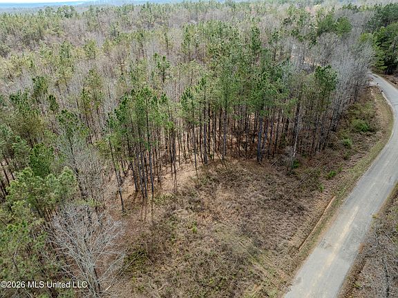 5th image of Wilkins Chapel Rd