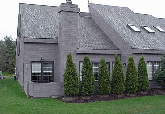 Rear View