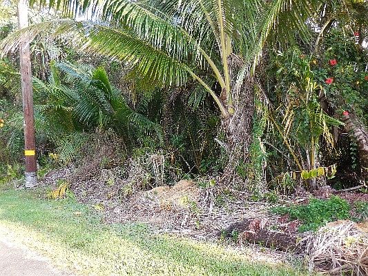 2nd image of N Mahimahi St