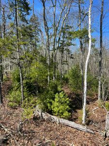6 Red Oak Drive, Old Orchard Beach, ME, 04064