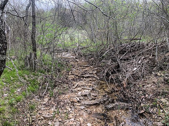 2nd image of 000 County Road 821